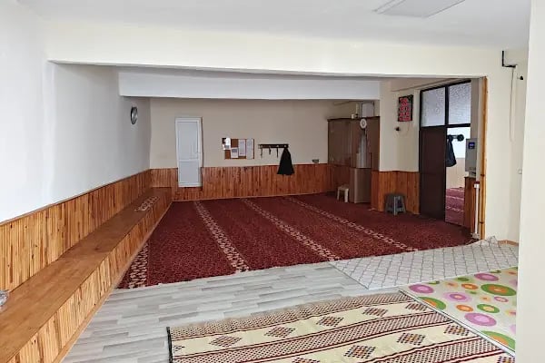 Feruz Köyü Cami - Resim 6