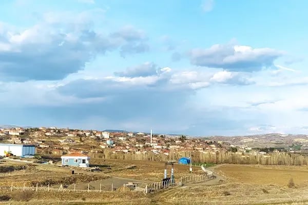 Feruz Köyü Cami - Resim 10