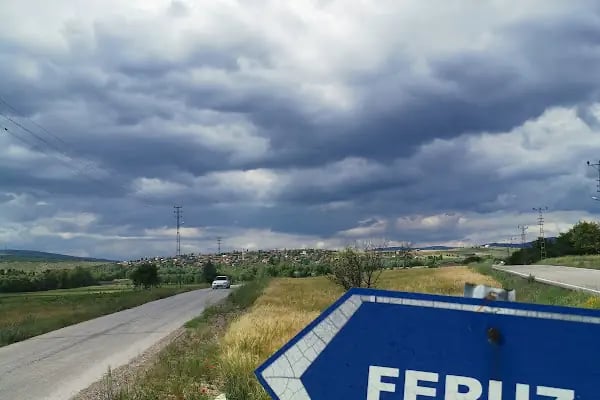 Feruz Köyü Cami - Resim 16