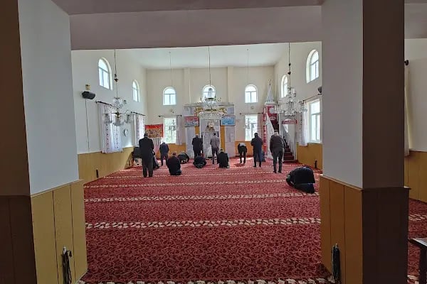 Feruz Köyü Cami - Resim 15