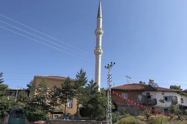 Feruz Köyü Cami - Resim 2
