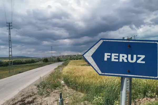 Feruz Köyü Cami - Resim 4