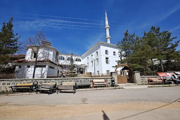 Feruz Köyü Cami - Resim 20