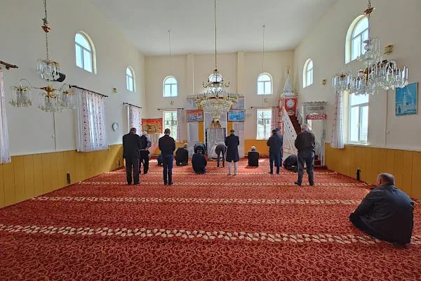 Feruz Köyü Cami - Resim 3