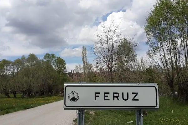 Feruz Köyü Cami - Resim 8