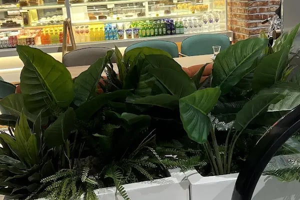 SPX MEGA WATERGARDEN - Resim 13