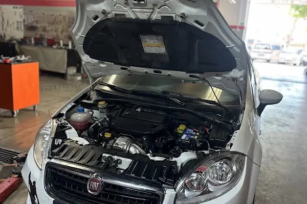 Servis Alparslan - Resim 20