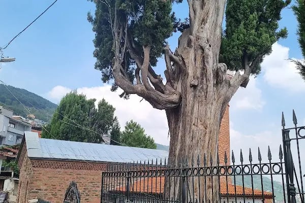 Molla Fenari Hazretleri Türbesi - Resim 10