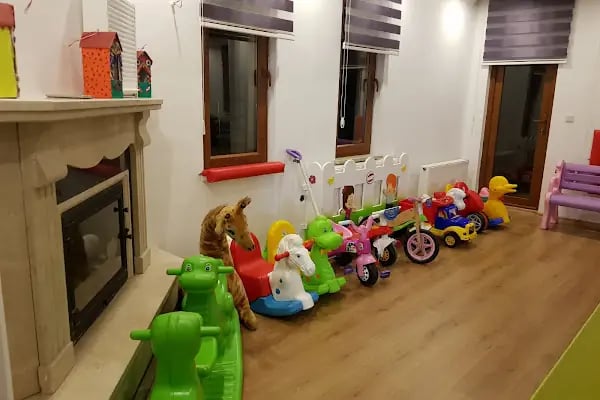 Özel Akıllı Çocuklar Kreş ve Gündüz Bakımevi - Resim 19