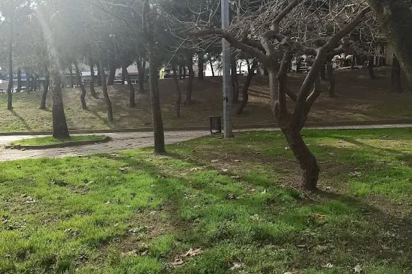 ATAŞEHİR BELEDİYESİ 30 AĞUSTOS PARKI - Resim 18