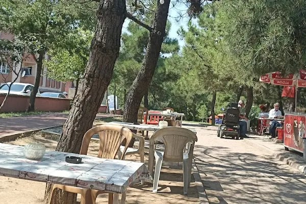 ATAŞEHİR BELEDİYESİ 30 AĞUSTOS PARKI - Resim 7