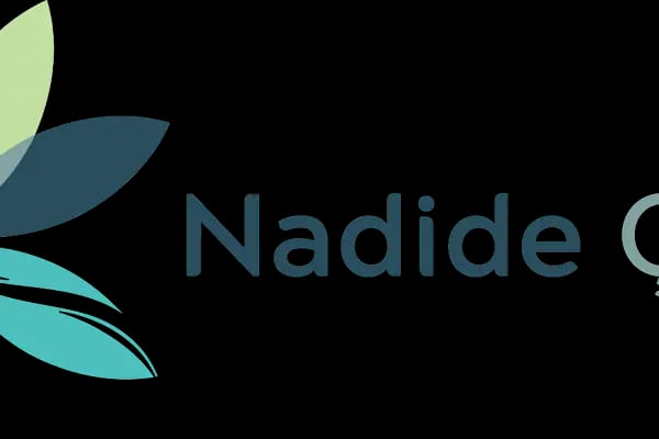 Nadide Çevre Mühendislik Danışmanlık - Resim 2