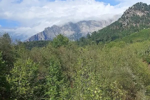 Belemedik Bungalov Evleri - Resim 10