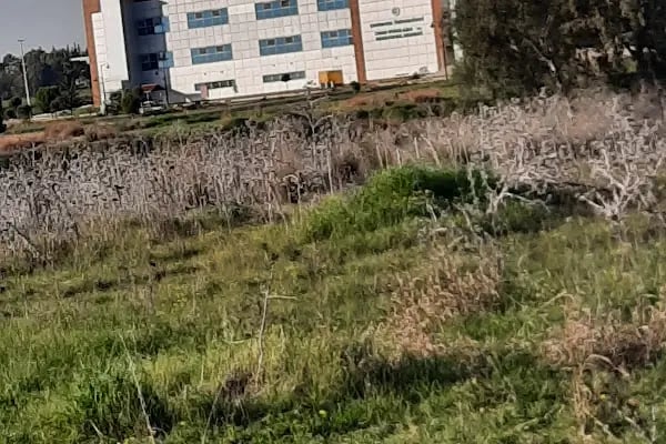 Çukurova Üniversitesi Kongre Merkezi - Resim 12