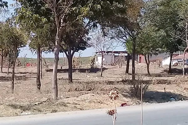 Ahmet Ekmek Fırını Şube 2 - Resim 2