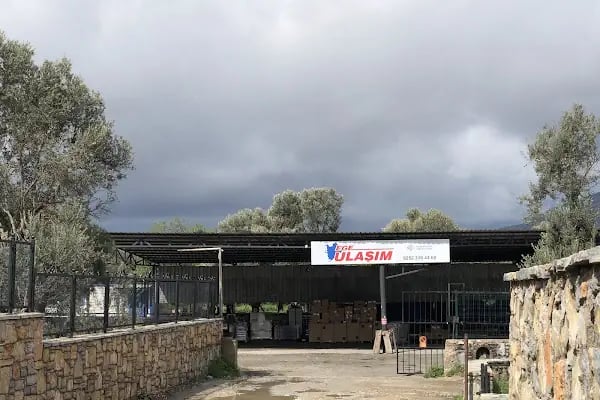 Ege Ulaşım - Bodrum Şubesi - Resim 3