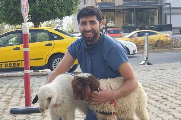 Tera Veteriner Kliniği - Resim 13