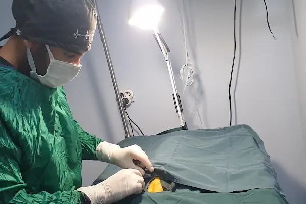Tera Veteriner Kliniği - Resim 5