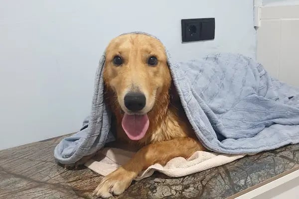 Tera Veteriner Kliniği - Resim 9