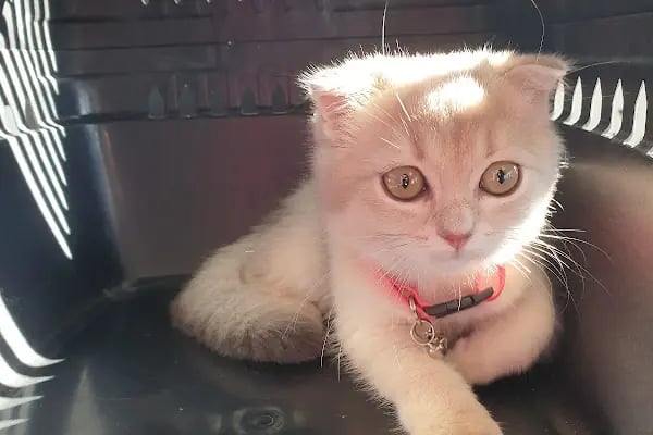 Tera Veteriner Kliniği - Resim 14