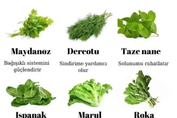 Uzman Diyetisyen Taha ALABAŞOĞLU - Resim 10
