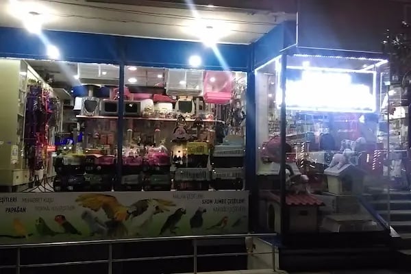 Adanus petshop - Resim 10