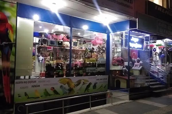 Adanus petshop - Resim 5