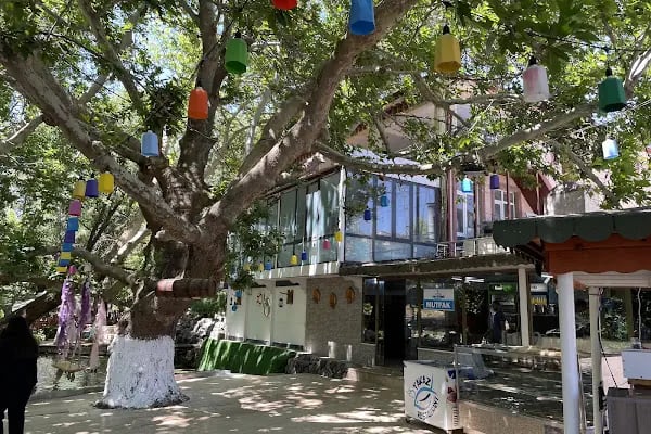 KS Takaz Restaurant - Resim 14