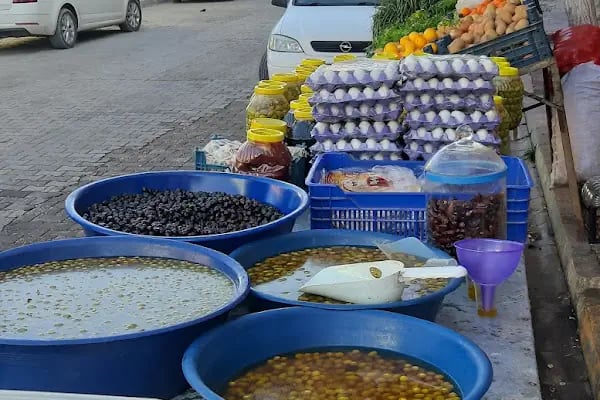 HANINOGLUGIDA INSAAT ITHALAT IHRACAT TÍCARET LÍMÍTED ŞÍRKETI - Resim 7