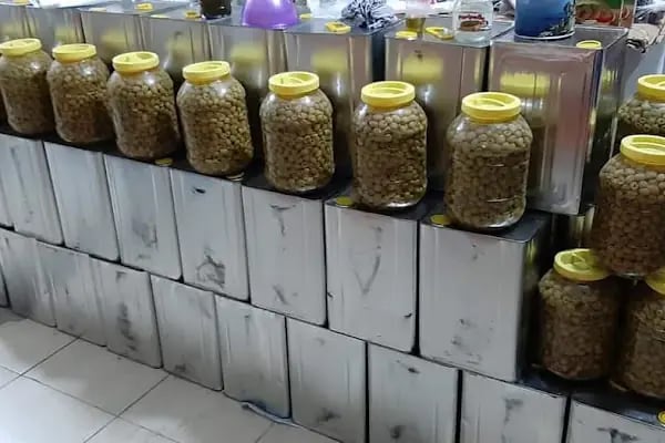 HANINOGLUGIDA INSAAT ITHALAT IHRACAT TÍCARET LÍMÍTED ŞÍRKETI - Resim 2
