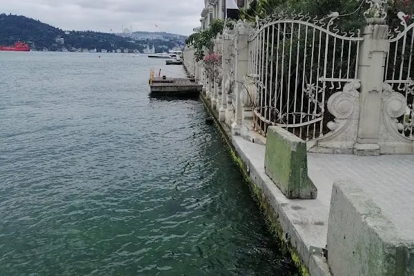 Mısır Arap Cumhuriyeti Başkonsolosluğu - Resim 3