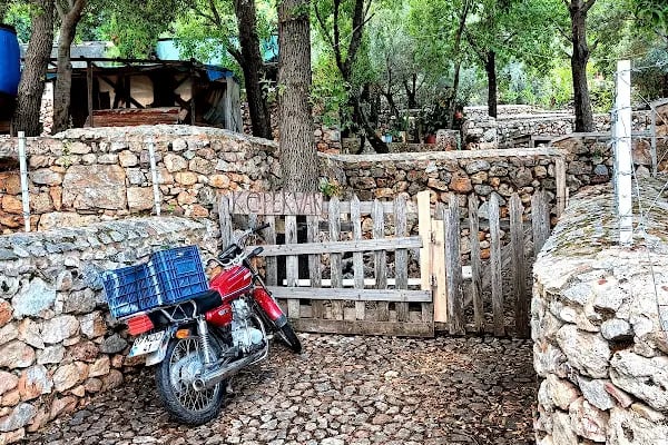 Kule Dibi Cafe - Resim 6
