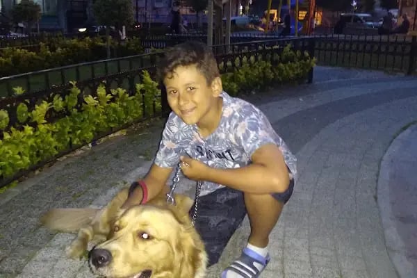 Güneşli Ada Veteriner Kliniği - Resim 9