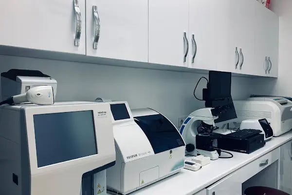 Güneşli Ada Veteriner Kliniği - Resim 2