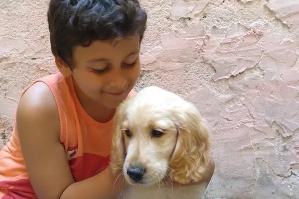 Güneşli Ada Veteriner Kliniği - Resim 16