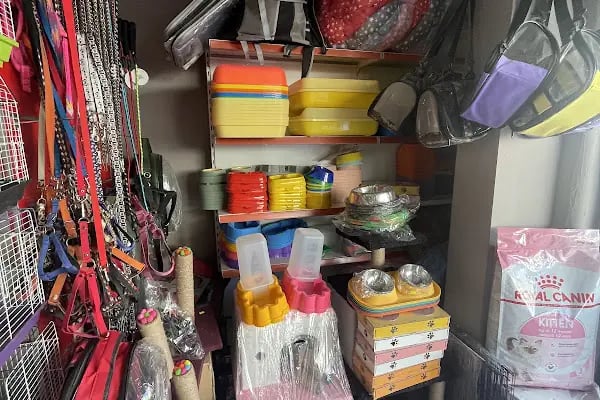 Uğur pet shop - Resim 8