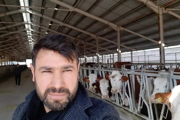Zeynonun Çiftliği | Doğal Günlük Süt, Ev Yapımı Ürünler, Süt Ürünleri - Resim 10