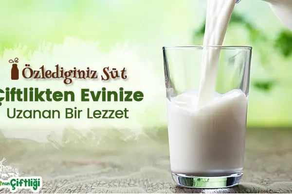 Zeynonun Çiftliği | Doğal Günlük Süt, Ev Yapımı Ürünler, Süt Ürünleri - Resim 16