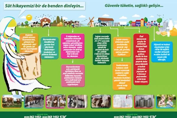 Zeynonun Çiftliği | Doğal Günlük Süt, Ev Yapımı Ürünler, Süt Ürünleri - Resim 19