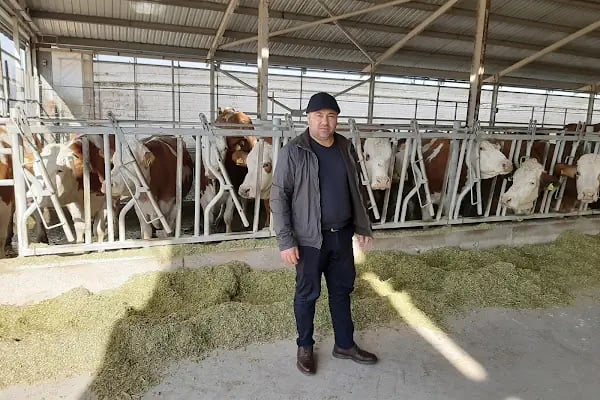 Zeynonun Çiftliği | Doğal Günlük Süt, Ev Yapımı Ürünler, Süt Ürünleri - Resim 20