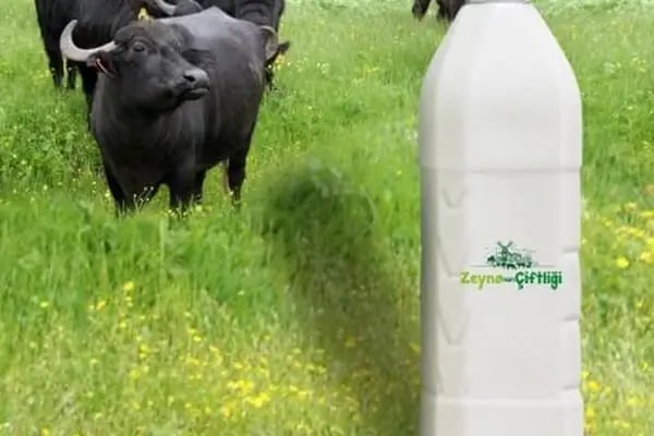 Zeynonun Çiftliği | Doğal Günlük Süt, Ev Yapımı Ürünler, Süt Ürünleri - Resim 12