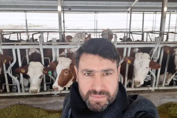 Zeynonun Çiftliği | Doğal Günlük Süt, Ev Yapımı Ürünler, Süt Ürünleri - Resim 15