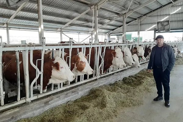 Zeynonun Çiftliği | Doğal Günlük Süt, Ev Yapımı Ürünler, Süt Ürünleri - Resim 2