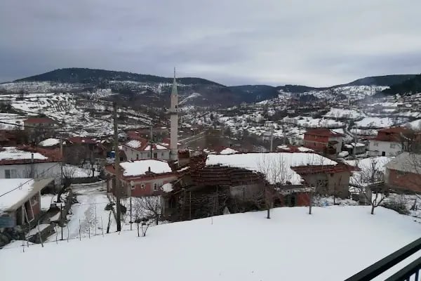 Zaferiye Köyü Karşı Mahalle Camii - Resim 1