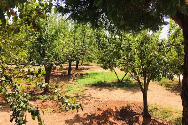 Bilgin Anaokulu ve İlkokulu Döşemealtı Antalya - Resim 7