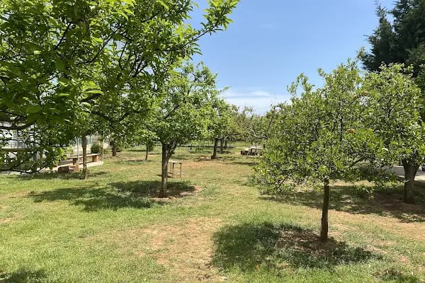 Bilgin Anaokulu ve İlkokulu Döşemealtı Antalya - Resim 4