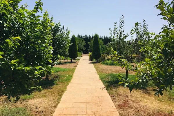 Bilgin Anaokulu ve İlkokulu Döşemealtı Antalya - Resim 5