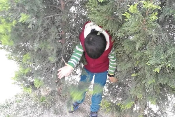 Göksu Dinlenme Ve Çocuk Parkı - Resim 8
