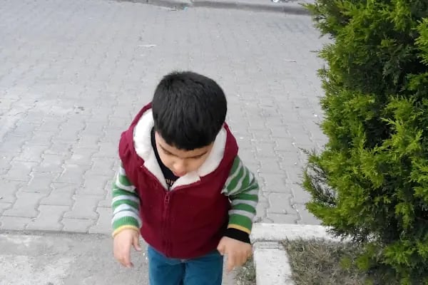 Göksu Dinlenme Ve Çocuk Parkı - Resim 5