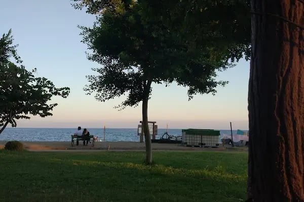 Anamur Belediyesi Dragon Parkı - Resim 5